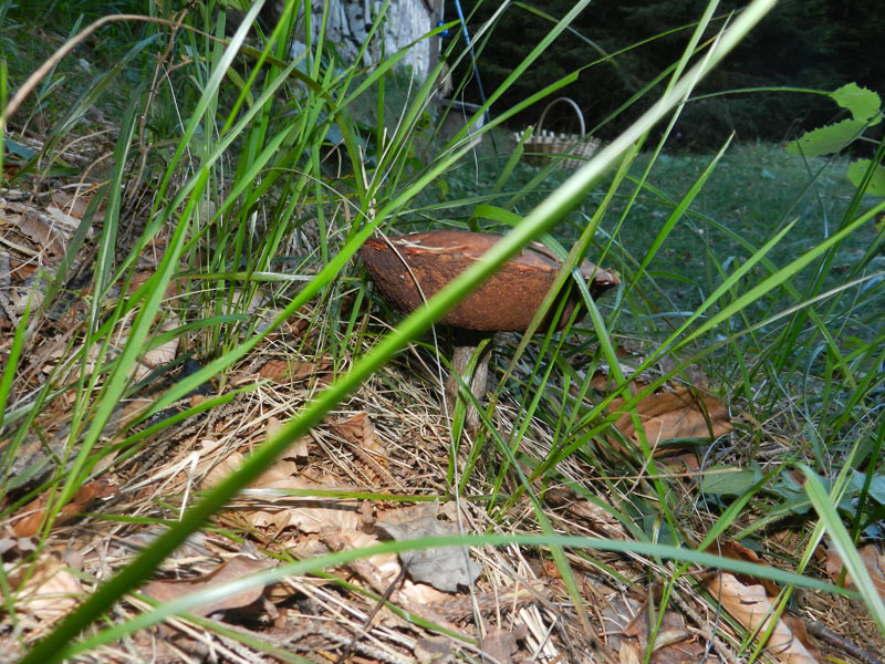 ritrovamento di fine settembre